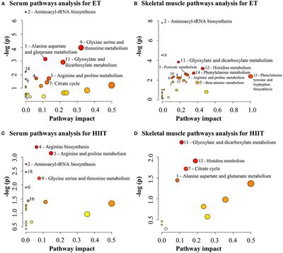 Association Between Changes in Serum and Skeletal Muscle Metabolomics Profile With Maximum Power Output Gains in Response to Different Aerobic Training Programs: The Times Study